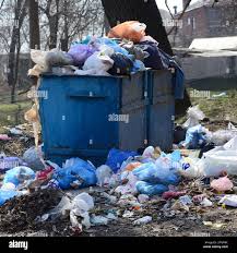 Best Hoarding Cleanup  in Arlington Heights, IL